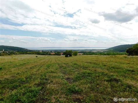 kinantot sa kalsada|Eladó mezőgazdasági ingatlan Kunágota .